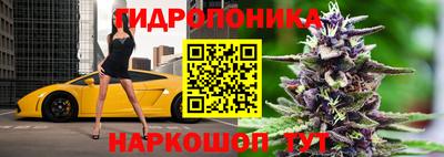 МДПВ Донецк