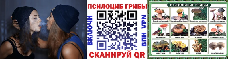 Галлюциногенные грибы мухоморы  Спасск-Дальний 