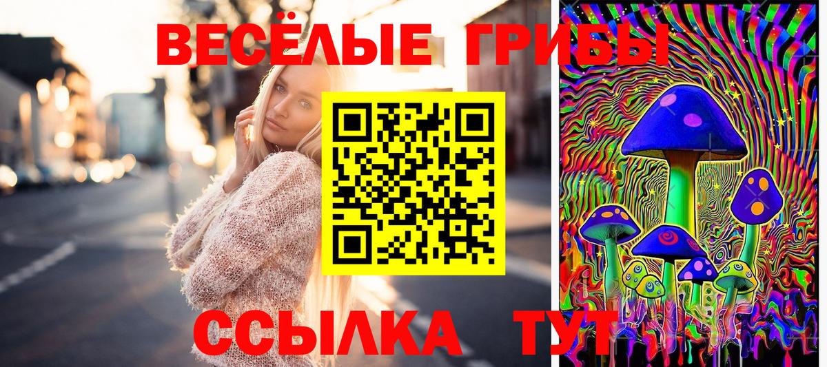 Псилоцибиновые грибы прущие грибы Спасск-Дальний