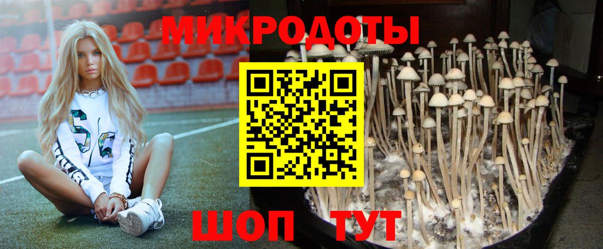 Псилоцибиновые грибы Magic Shrooms Спасск-Дальний